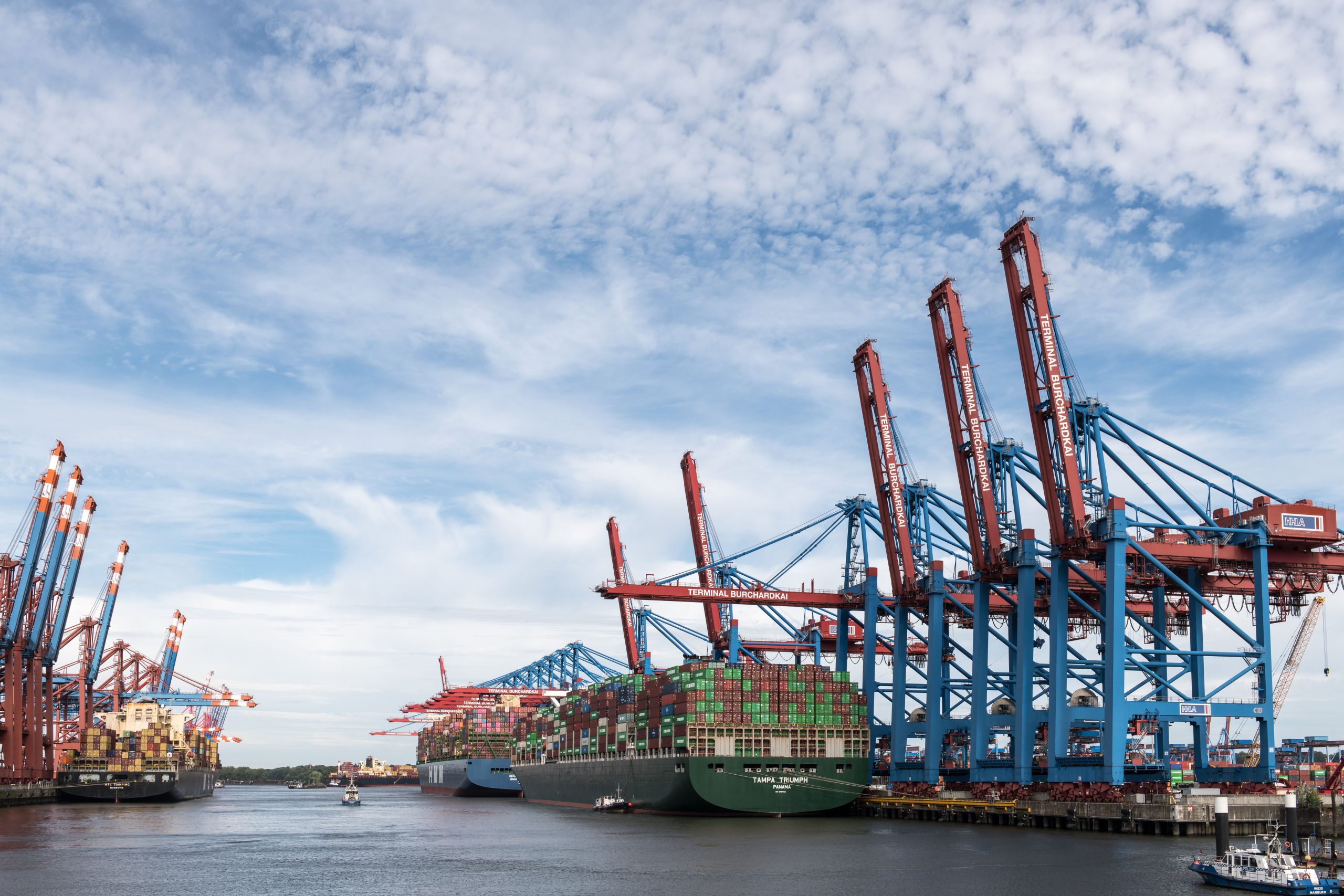 Porte conteneurs et grues au port de Hambourg