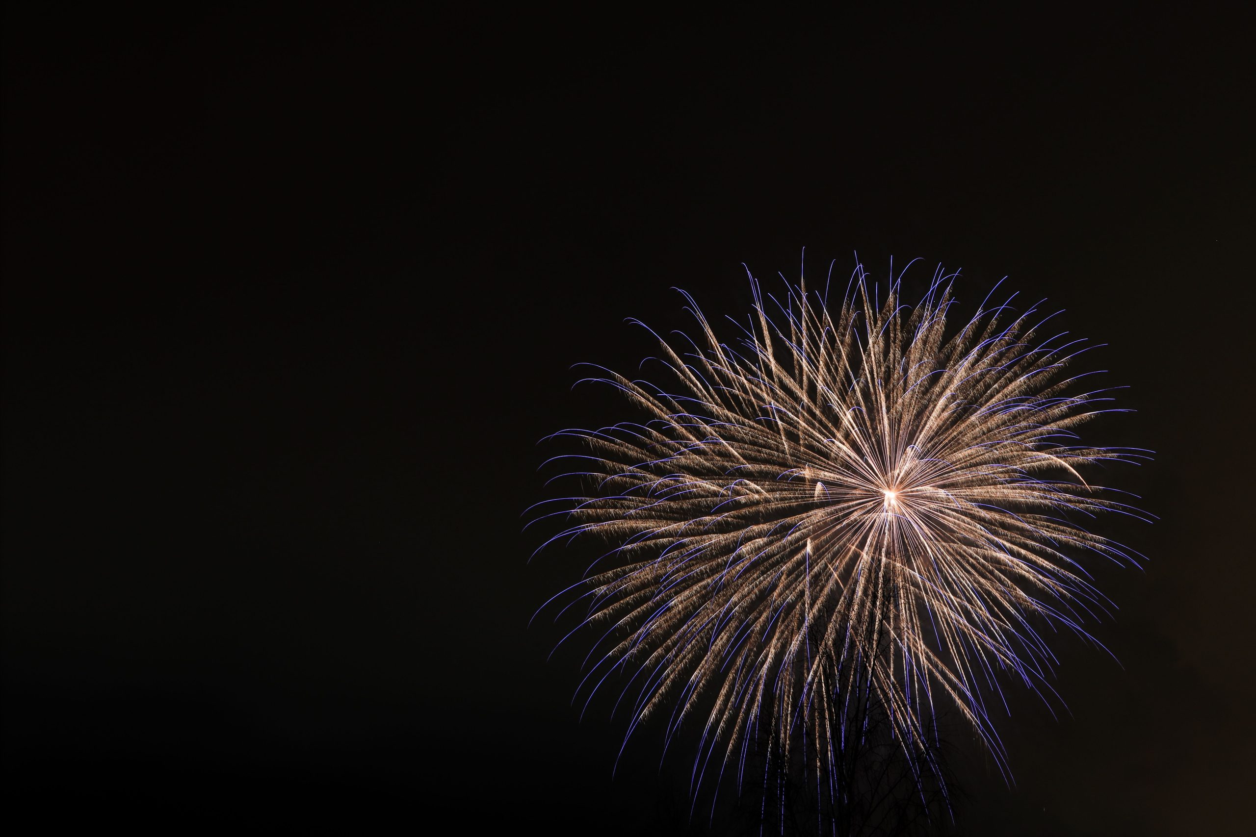 Feu d'artifice éclatant dans un ciel nocturne sombre